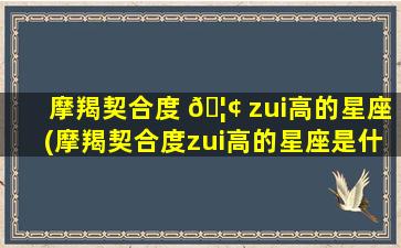 摩羯契合度 🦢 zui
高的星座(摩羯契合度zui
高的星座是什么)